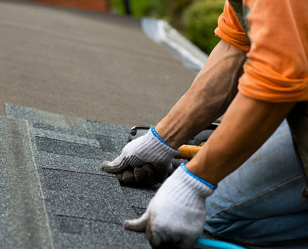 Roof Gutter Cleaning in Shallowater, TX